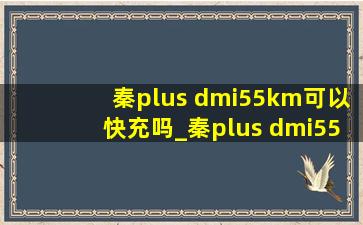 秦plus dmi55km可以快充吗_秦plus dmi55km可以注册滴滴吗